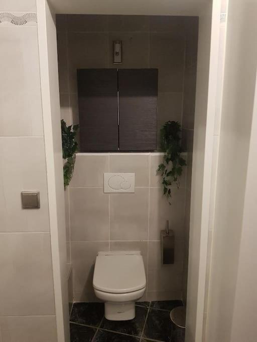 Appartement Cosy Entierement Equipe Toulouse Exterior foto